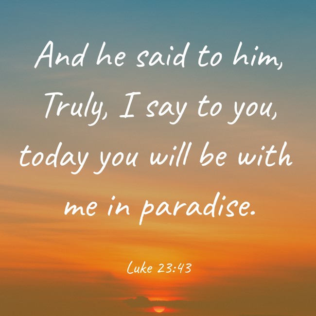 And he said to him, Truly, I say to you, today you will be with me in paradise. - Luke 23:43
