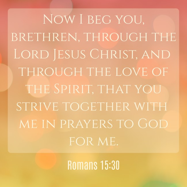 Now I beg you, brethren, through the Lord Jesus Christ, and through the love of the Spirit, that you strive together with me in prayers to God for me. - Romans 15:30