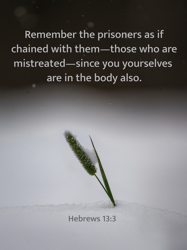 Remember the prisoners as if chained with them—those who are mistreated—since you yourselves are in the body also. - Hebrews 13:3