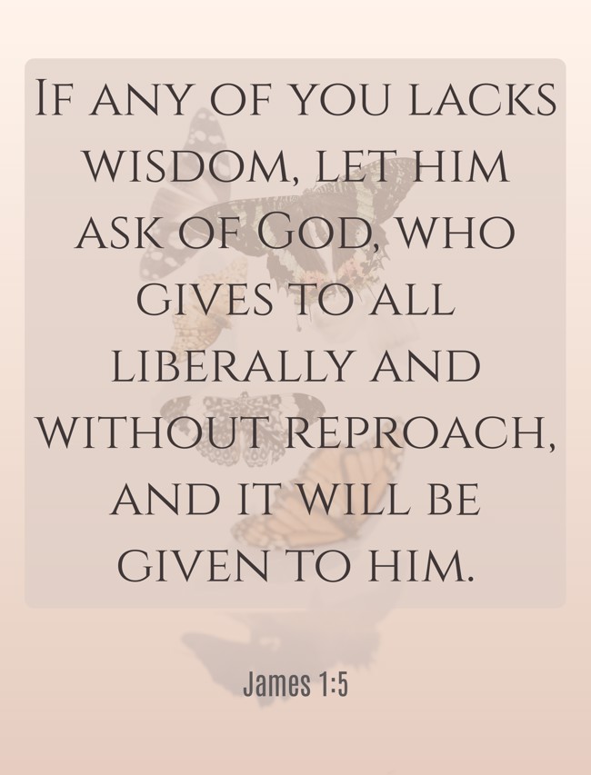 If any of you lacks wisdom, let him ask of God, who gives to all liberally and without reproach, and it will be given to him. - James 1:5