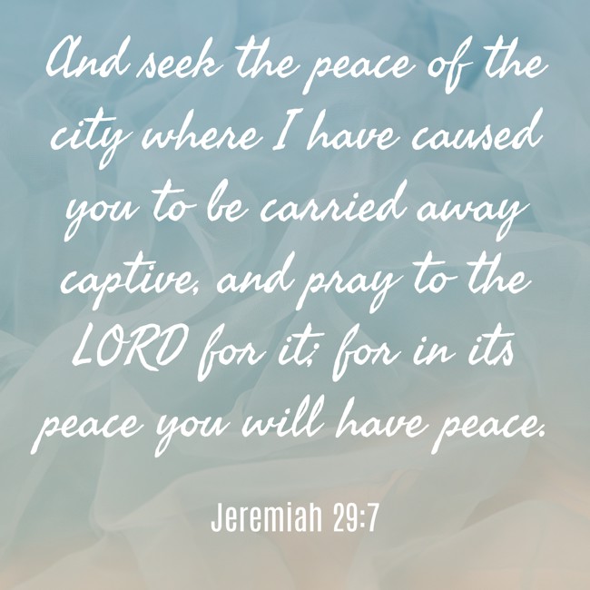 And seek the peace of the city where I have caused you to be carried away captive, and pray to the LORD for it; for in its peace you will have peace. - Jeremiah 29:7