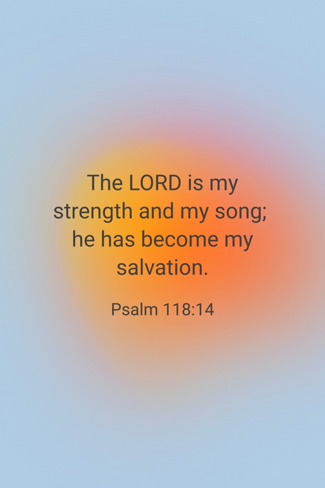 The LORD is my strength and my song; he has become my salvation. - Psalm 118:14