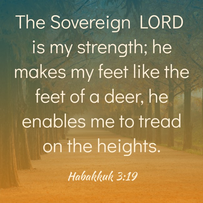 The Sovereign LORD is my strength; he makes my feet like the feet of a deer, he enables me to tread on the heights. - Habakkuk 3:19