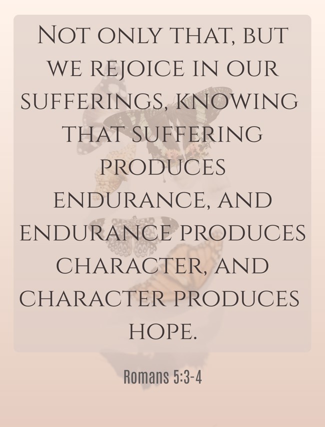 Not only that, but we rejoice in our sufferings, knowing that suffering produces endurance, and endurance produces character, and character produces hope. - Romans 5:3-4