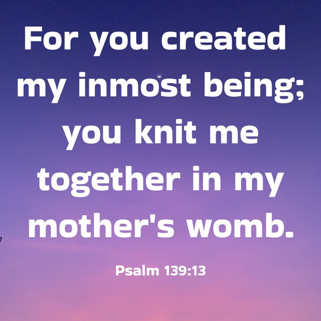 For you created my inmost being; you knit me together in my mother's womb. - Psalm 139:13
