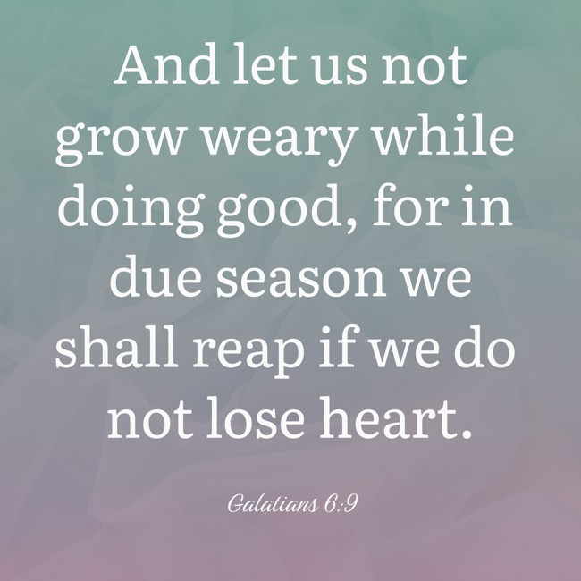 And let us not grow weary while doing good, for in due season we shall reap if we do not lose heart. - Galatians 6:9