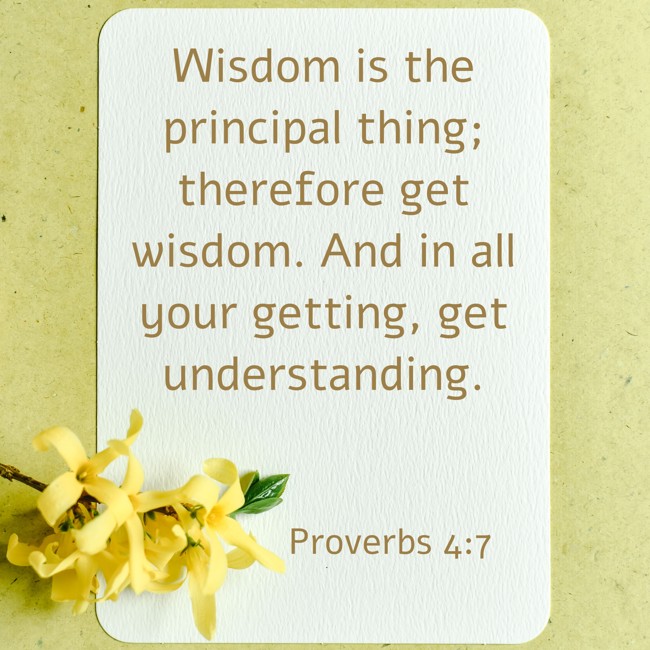 Wisdom is the principal thing; therefore get wisdom. And in all your getting, get understanding. - Proverbs 4:7