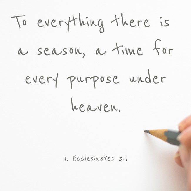  To everything there is a season, a time for every purpose under heaven.   - 1. Ecclesiastes 3:1 