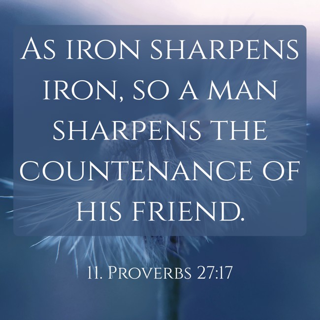  As iron sharpens iron, so a man sharpens the countenance of his friend.   - 11. Proverbs 27:17 