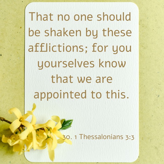 That no one should be shaken by these afflictions; for you yourselves know that we are appointed to this. - 30. 1 Thessalonians 3:3