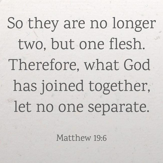 So they are no longer two, but one flesh. Therefore, what God has joined together, let no one separate. - Matthew 19:6