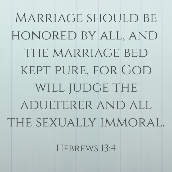 Marriage should be honored by all, and the marriage bed kept pure, for God will judge the adulterer and all the sexually immoral. - Hebrews 13:4