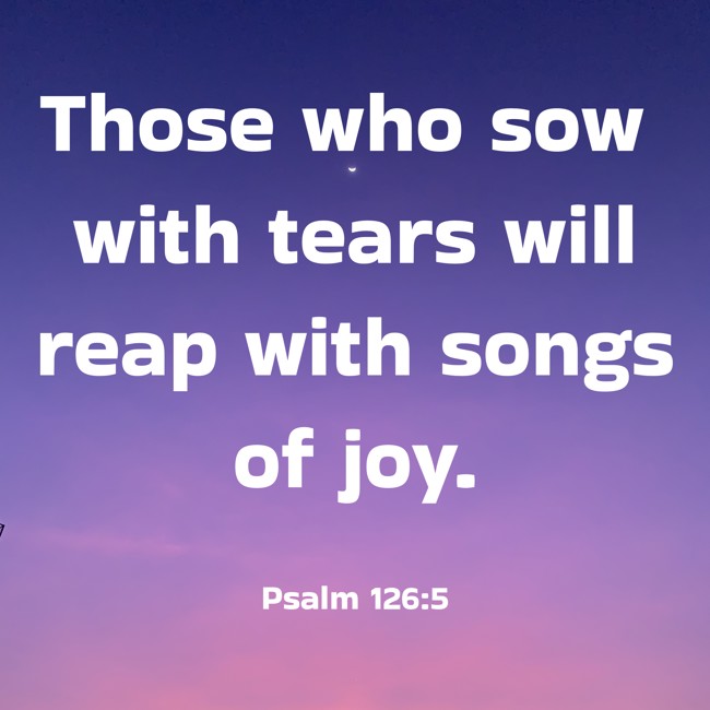 Those who sow with tears will reap with songs of joy. - Psalm 126:5