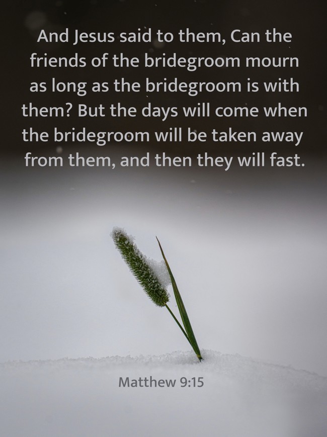  And Jesus said to them, Can the friends of the bridegroom mourn as long as the bridegroom is with them? But the days will come when the bridegroom will be taken away from them, and then they will fast.   - Matthew 9:15 