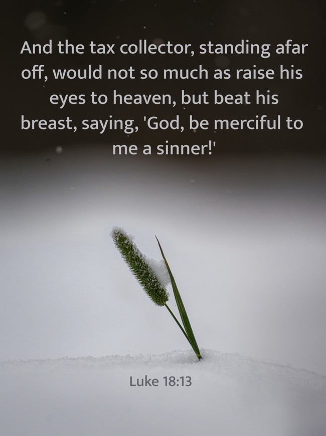  And the tax collector, standing afar off, would not so much as raise his eyes to heaven, but beat his breast, saying, 'God, be merciful to me a sinner!'   - Luke 18:13 