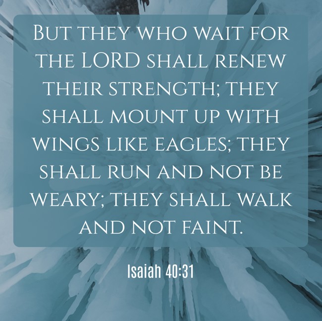  But they who wait for the LORD shall renew their strength; they shall mount up with wings like eagles; they shall run and not be weary; they shall walk and not faint.   - Isaiah 40:31 