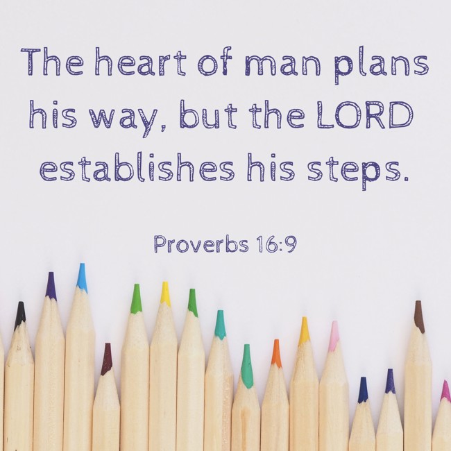  The heart of man plans his way, but the LORD establishes his steps.   - Proverbs 16:9 
