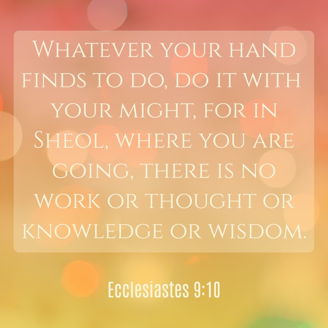  Whatever your hand finds to do, do it with your might, for in Sheol, where you are going, there is no work or thought or knowledge or wisdom.   - Ecclesiastes 9:10 