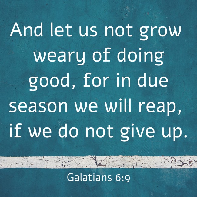  And let us not grow weary of doing good, for in due season we will reap, if we do not give up.   - Galatians 6:9 