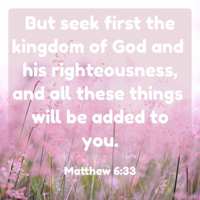  But seek first the kingdom of God and his righteousness, and all these things will be added to you.   - Matthew 6:33 