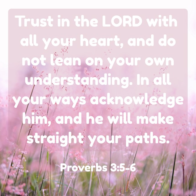 Trust in the LORD with all your heart, and do not lean on your own understanding. In all your ways acknowledge him, and he will make straight your paths.   - Proverbs 3:5-6 