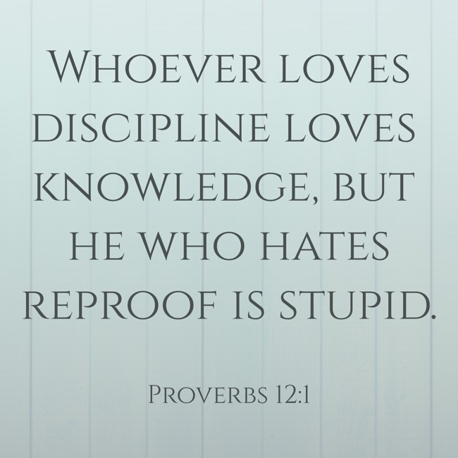  Whoever loves discipline loves knowledge, but he who hates reproof is stupid.   - Proverbs 12:1 