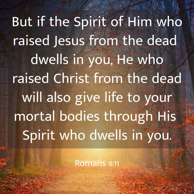 But if the Spirit of Him who raised Jesus from the dead dwells in you, He who raised Christ from the dead will also give life to your mortal bodies through His Spirit who dwells in you. - Romans 8:11