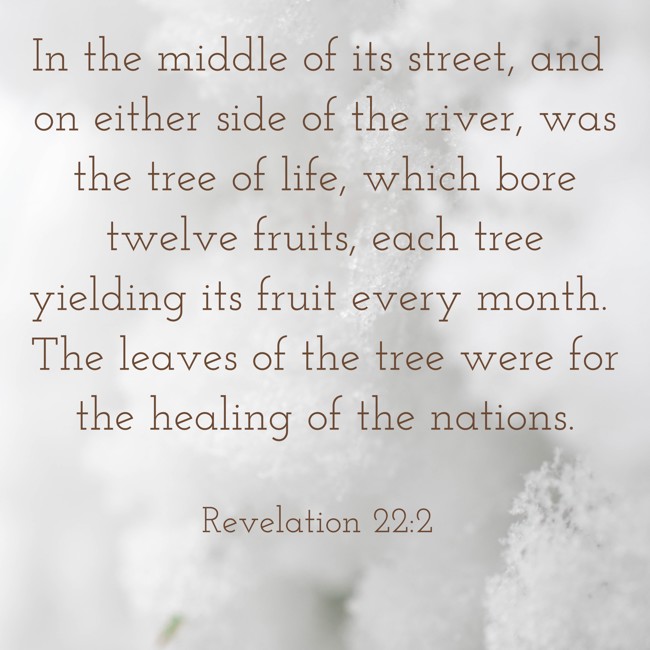 In the middle of its street, and on either side of the river, was the tree of life, which bore twelve fruits, each tree yielding its fruit every month. The leaves of the tree were for the healing of the nations. - Revelation 22:2