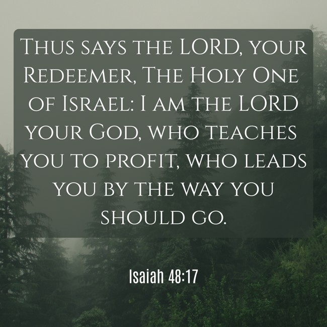 Thus says the LORD, your Redeemer, The Holy One of Israel: I am the LORD your God, who teaches you to profit, who leads you by the way you should go. - Isaiah 48:17