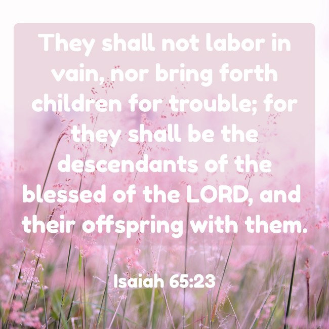 They shall not labor in vain, nor bring forth children for trouble; for they shall be the descendants of the blessed of the LORD, and their offspring with them. - Isaiah 65:23