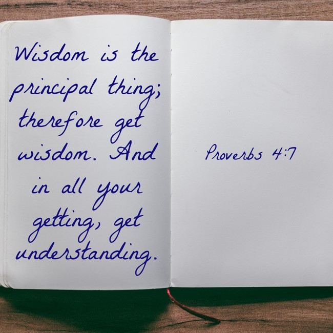  Wisdom is the principal thing; therefore get wisdom. And in all your getting, get understanding.   - Proverbs 4:7 