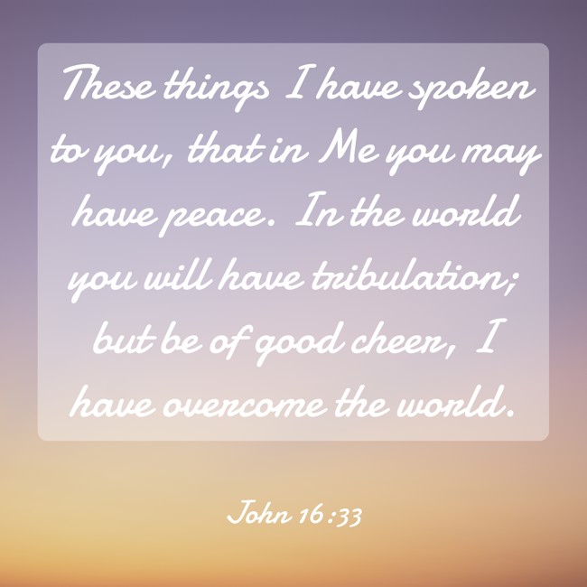 These things I have spoken to you, that in Me you may have peace. In the world you will have tribulation; but be of good cheer, I have overcome the world. - John 16:33
