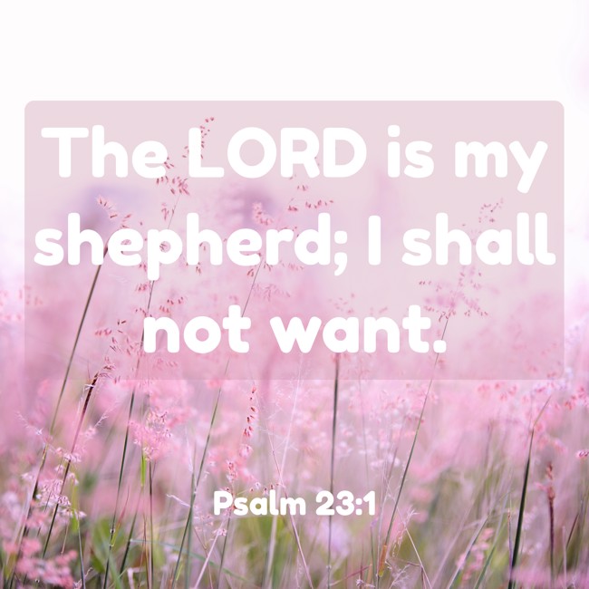 The LORD is my shepherd; I shall not want. - Psalm 23:1