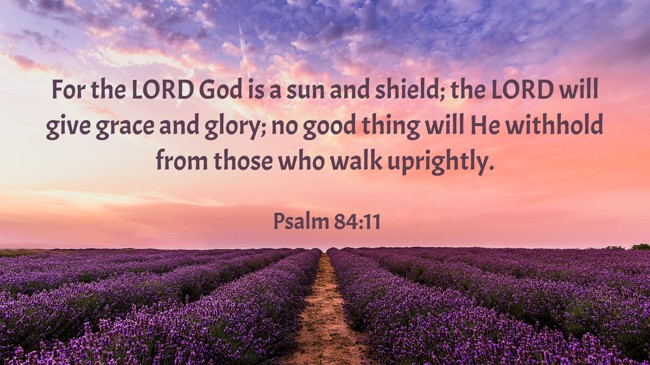 For the LORD God is a sun and shield; the LORD will give grace and glory; no good thing will He withhold from those who walk uprightly. - Psalm 84:11