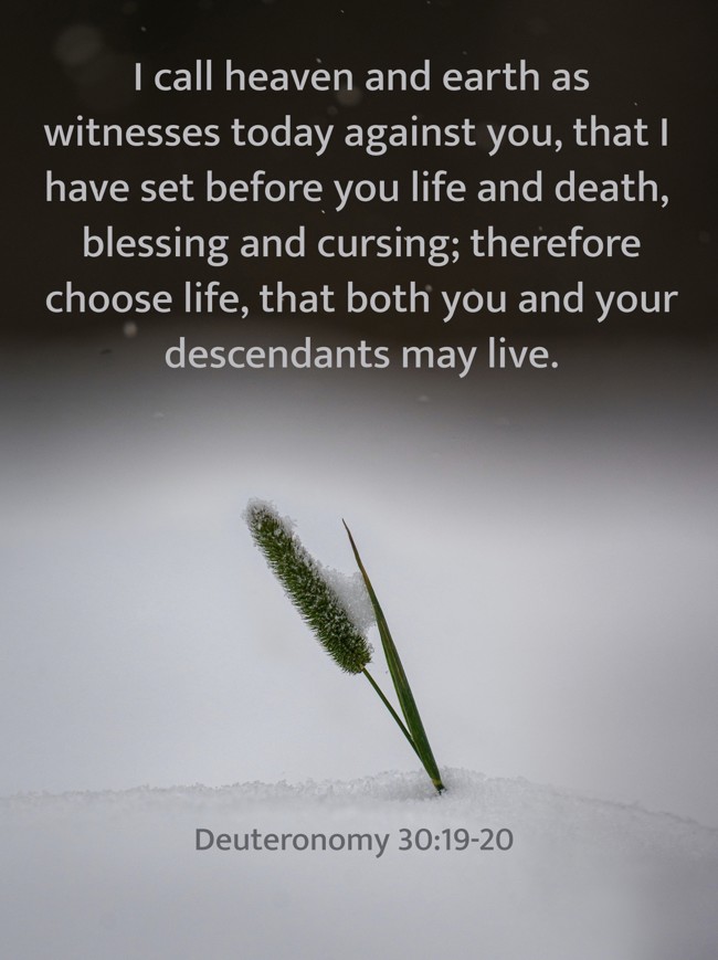 I call heaven and earth as witnesses today against you, that I have set before you life and death, blessing and cursing; therefore choose life, that both you and your descendants may live. - Deuteronomy 30:19-20