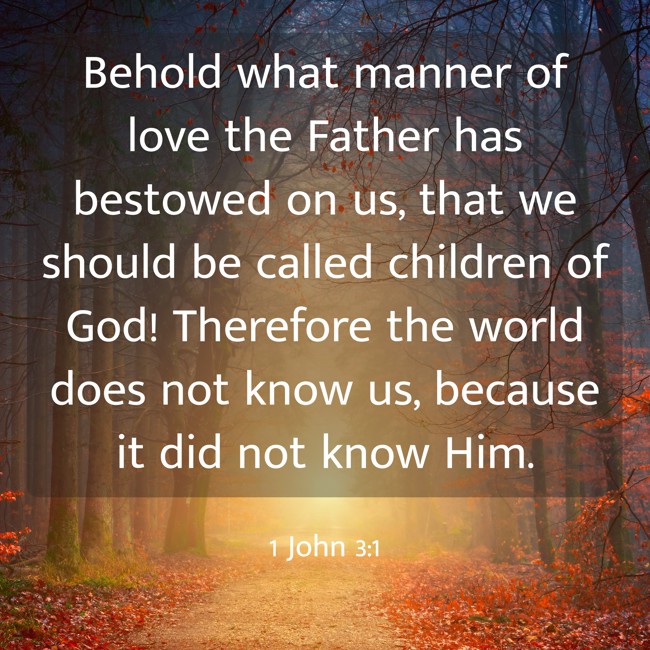 Behold what manner of love the Father has bestowed on us, that we should be called children of God! Therefore the world does not know us, because it did not know Him. - 1 John 3:1