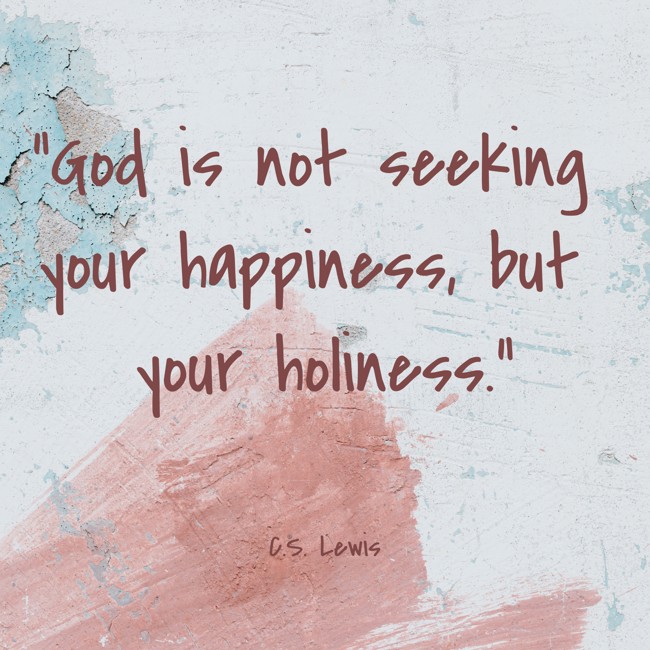 God is not seeking your happiness, but your holiness. - C.S. Lewis