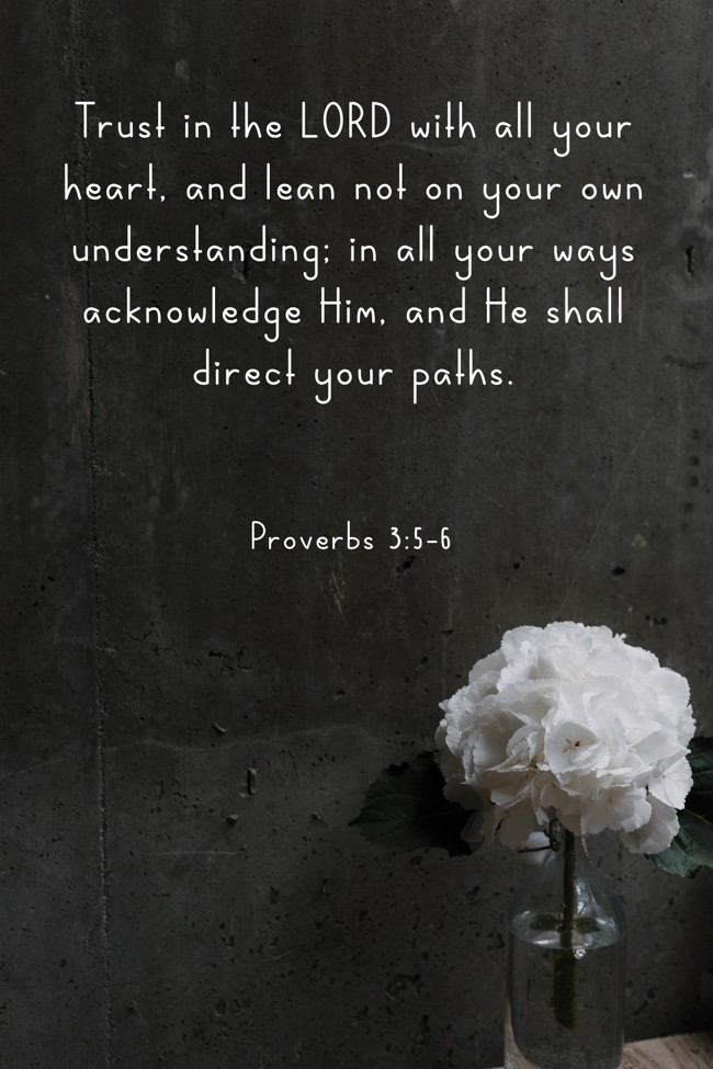 Trust in the LORD with all your heart, and lean not on your own understanding; in all your ways acknowledge Him, and He shall direct your paths. - Proverbs 3:5-6