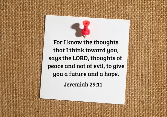 For I know the thoughts that I think toward you, says the LORD, thoughts of peace and not of evil, to give you a future and a hope. - Jeremiah 29:11