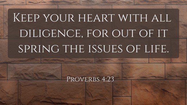 Keep your heart with all diligence, for out of it spring the issues of life. - Proverbs 4:23