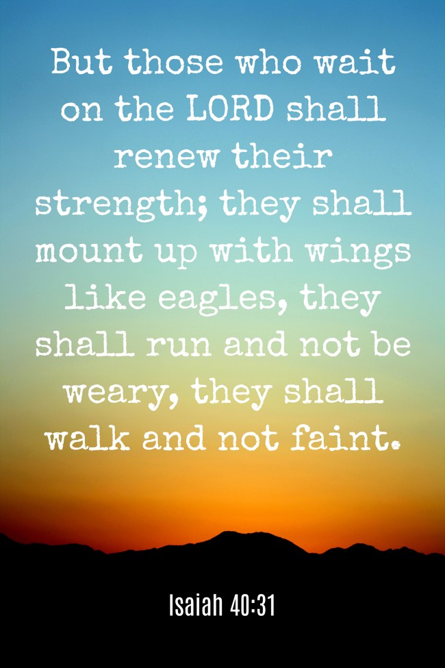 But those who wait on the LORD shall renew their strength; they shall mount up with wings like eagles, they shall run and not be weary, they shall walk and not faint. - Isaiah 40:31
