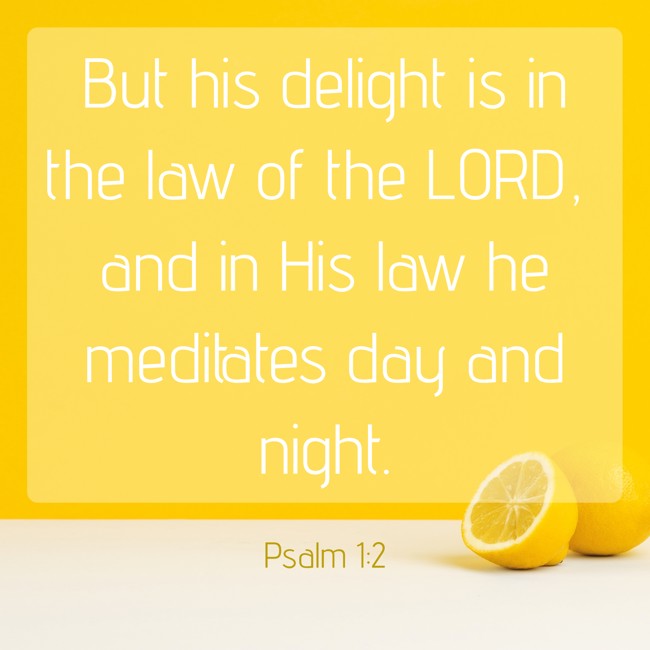 But his delight is in the law of the LORD, and in His law he meditates day and night. - Psalm 1:2
