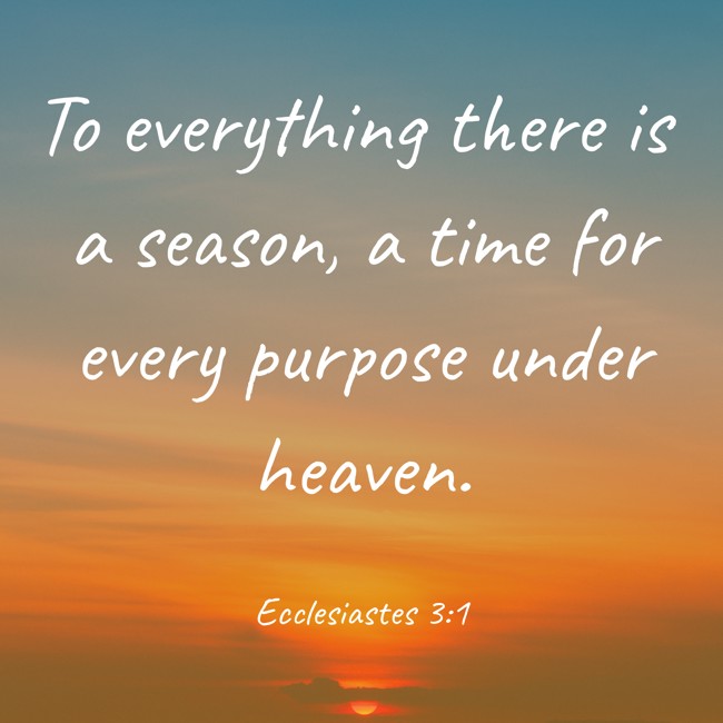 To everything there is a season, a time for every purpose under heaven. - Ecclesiastes 3:1