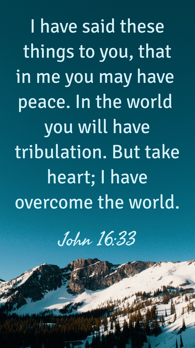 I have said these things to you, that in me you may have peace. In the world you will have tribulation. But take heart; I have overcome the world. - John 16:33