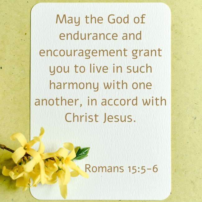 May the God of endurance and encouragement grant you to live in such harmony with one another, in accord with Christ Jesus. - Romans 15:5-6