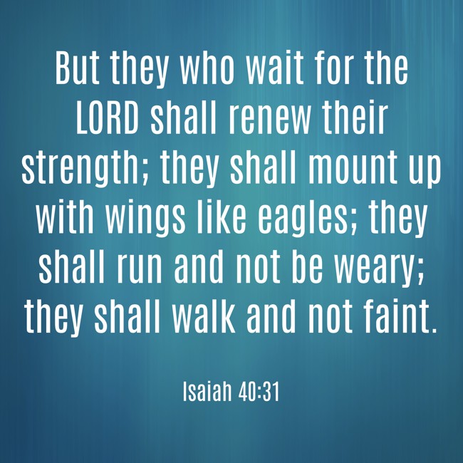 But they who wait for the LORD shall renew their strength; they shall mount up with wings like eagles; they shall run and not be weary; they shall walk and not faint. - Isaiah 40:31