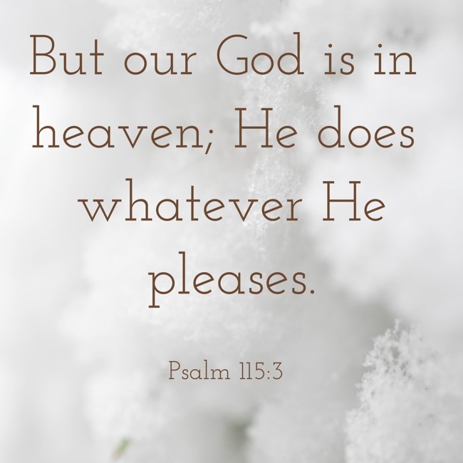  But our God is in heaven; He does whatever He pleases.   - Psalm 115:3 