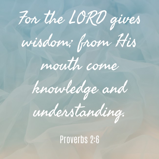  For the LORD gives wisdom; from His mouth come knowledge and understanding.   - Proverbs 2:6 