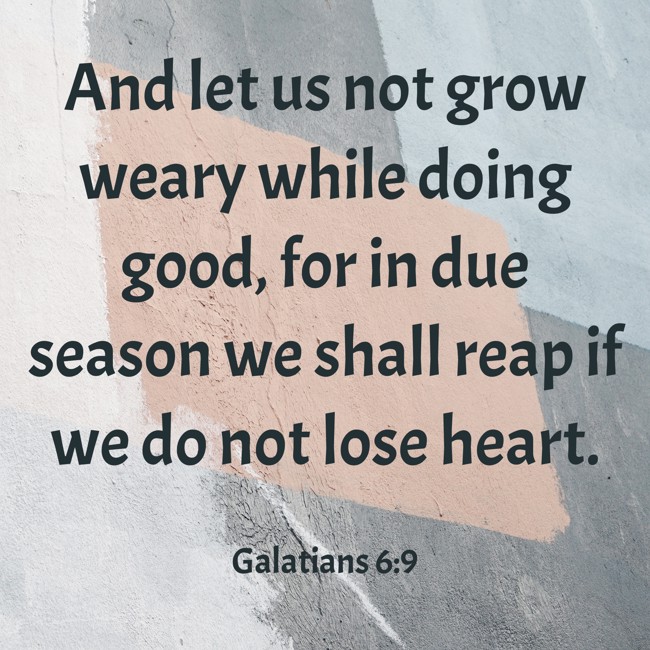  And let us not grow weary while doing good, for in due season we shall reap if we do not lose heart.   - Galatians 6:9 