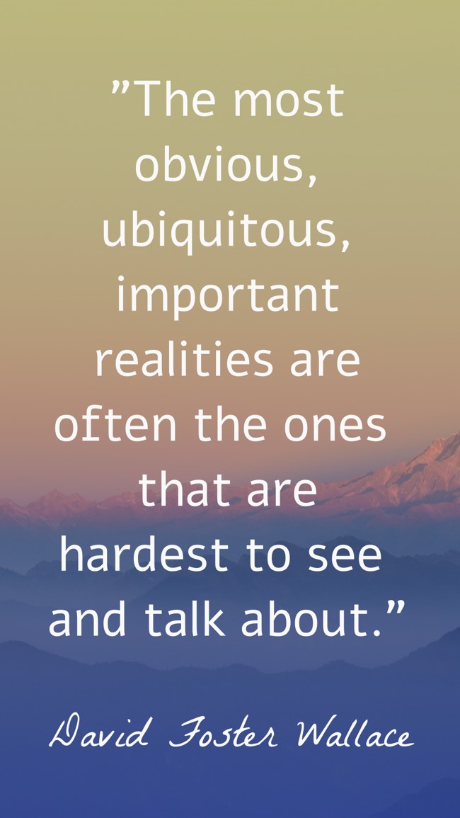  The most obvious, ubiquitous, important realities are often the ones that are hardest to see and talk about.   - David Foster Wallace 
